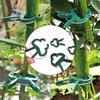 10Pcs Greenhouse Durable Plastic Garden Plant Support Clips Reusable Lever Ring Plant Fixing Clip Vine Support Clip Vine Support