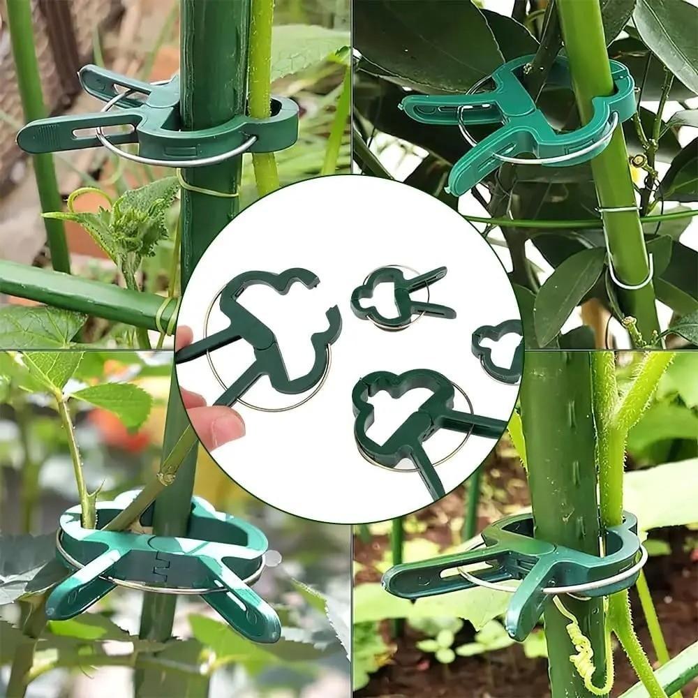 10Pcs Greenhouse Durable Plastic Garden Plant Support Clips Reusable Lever Ring Plant Fixing Clip Vine Support Clip Vine Support