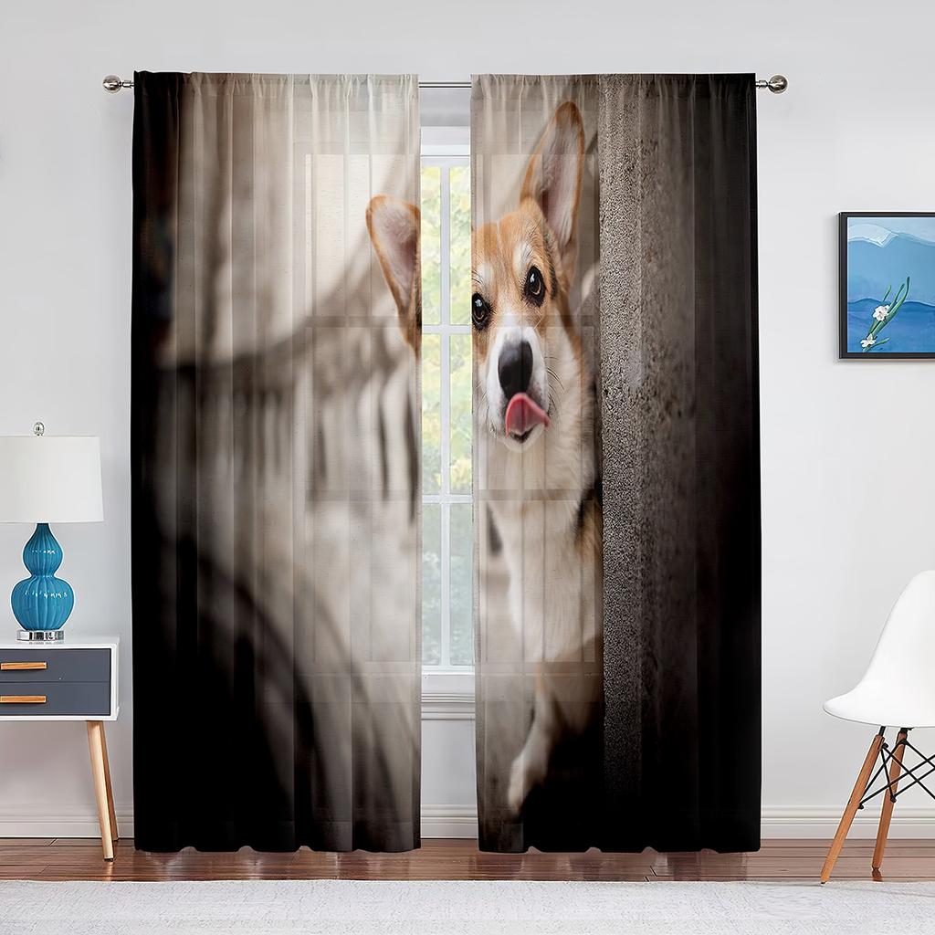 Corgi In The Flower Field Puppy Dog Sheer Curtains Window Treatment for Kitchen Living Room Bedroom Decor Modern Tulle Curtains