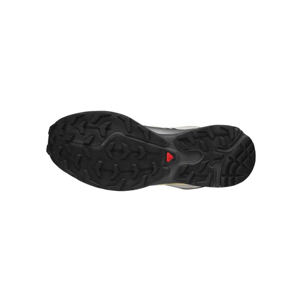 SALOMON XT 6 Trail Running Shoes Unisex Low Top Silver Cloud/Urban Fas