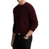 Polo Ralph Lauren FW23 Solid Logo Embroidered Crew Neck Long Sleeve Sweater Men Sweater MNPOSWE16821262-601