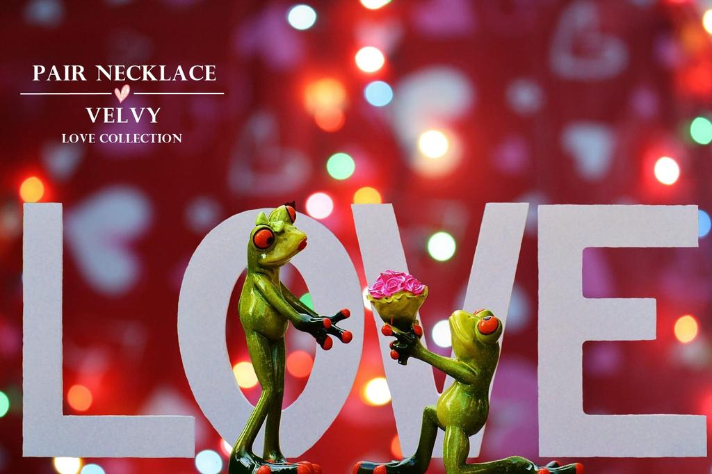 Silver 925 Feather Heart Pair Necklace for Men and Women Bag BOX Tb316 [Velvi] (Paper Included) (Feather Heart)