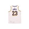 Nike Nba Los Angeles Lakers LeBron James Association Edition Swingman Jersey AA7101-111