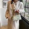 Intellectual temperament portable small bag women's 2025 new trendy high-grade texture versatile single shoulder crossbody small square bag