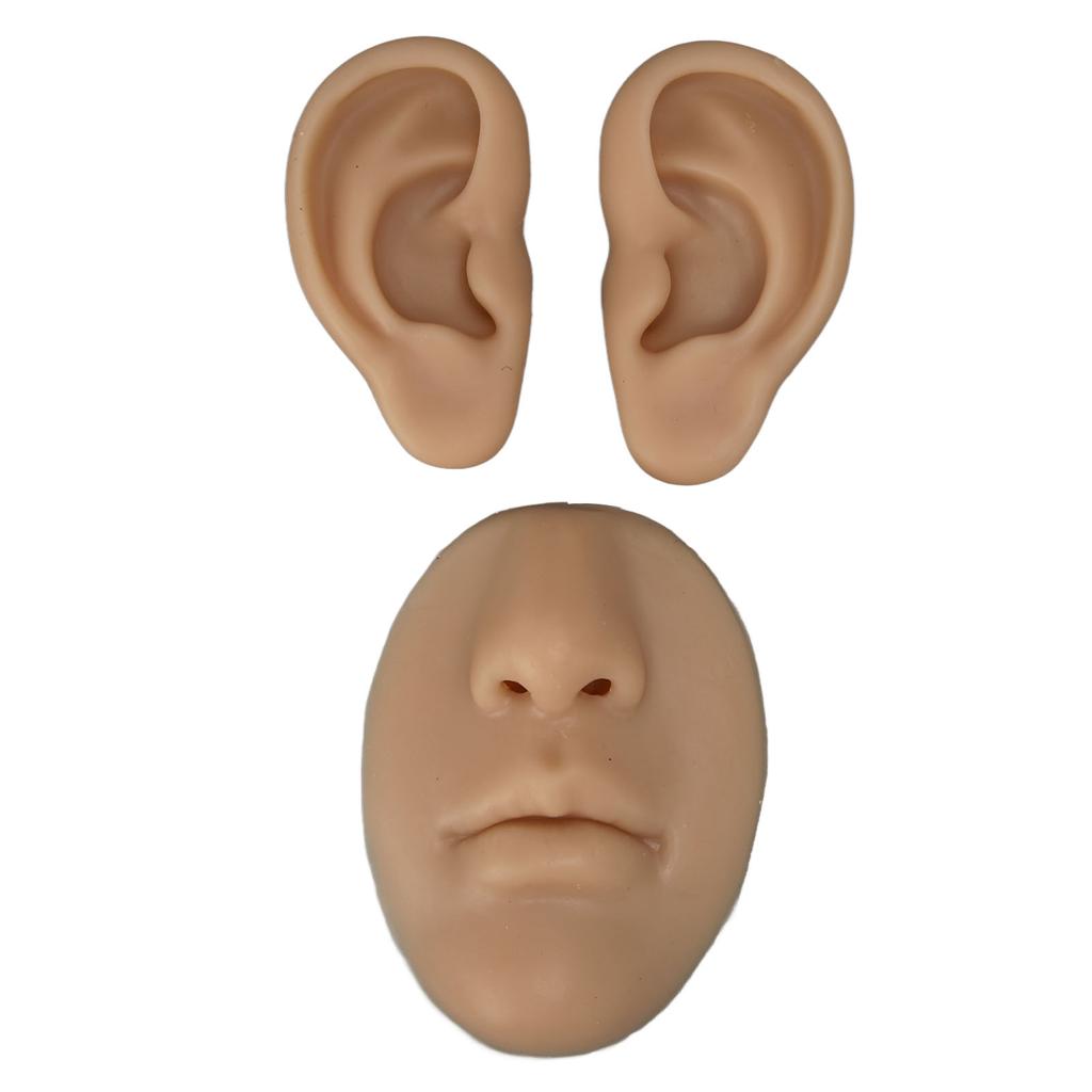 Silicone Ear Model Novice Simulated 3D Nose and Mouth Model Display Prop Teaching Tool for Piercing