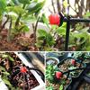 15-30M Drip Watering Irrigation System Self-watering Automatic Drip Irrigation Automatic Watering for Plants Farm Equipment