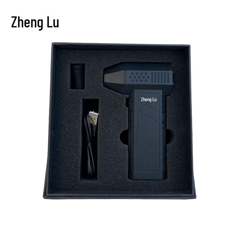 Zhenglu Turbine Hair Dryer