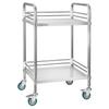 Stainless Steel Cart, 2-Tier Rolling Lab Utility Cart with Lockable Wheels, Medical Serving Trolley Clinic Tray, Heavy Duty Mobile Service Storage