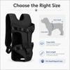 Verstellbarer Haustier-Fronttrage-Rucksack Für Kleine Hunde Katzen Freihändig Welpen-Reisetasche Atmungsaktives Netz Hund-Brustträger Für Spaziergänge