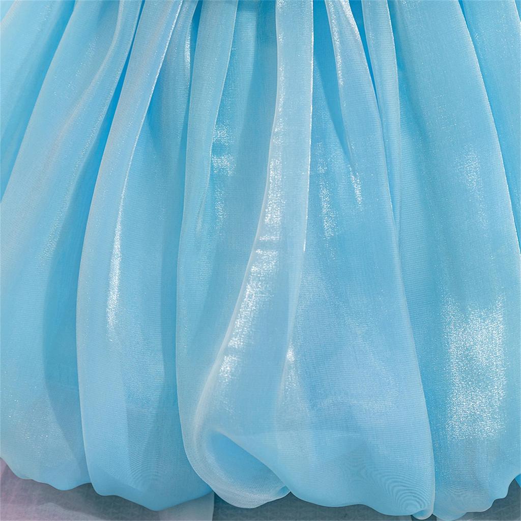 Toddler Princess Dress with 3D Rose Flowers and Shiny Satin Puff Sleeves