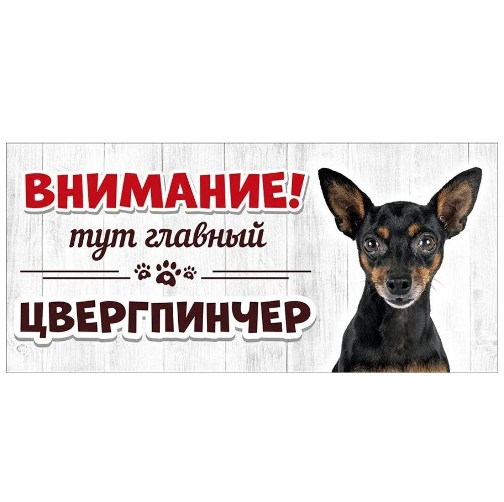 Evil Pomeranian Spitz Sign, Metal Fence Door Plaque 30x15cm