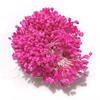 760pcs/lot 5mm DIY Artificial Foam Flower Stamen Mini Pearl Flowers Wreath Wedding Party Home Decor