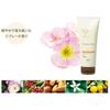 no3 - Yululuka Chyprefluffy Treatment