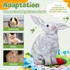 Small Pet Snuffle Mat Rabbit Foraging Mat Hamster Scent Training Blanket Toy Slow Feeder for Dogs &Rabbits