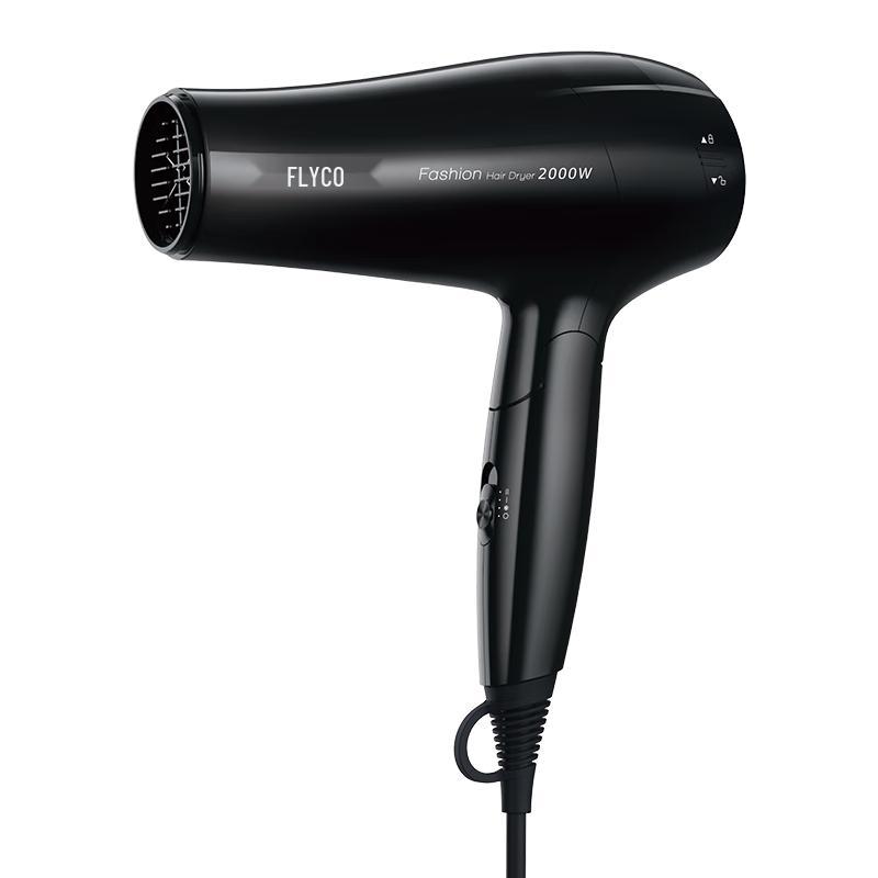 

FLYCO Portable Fast-Drying Hair Dryer 1