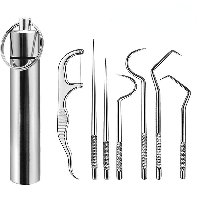 Stainless Steel Toothpick Set Tooth Flossing Reusable Toothpicks Portable Toothpick Floss Teeth Cleaner Oral Cleaning. Silver