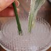 Round Ikebana Stem Holder Suction Cup Transparent Flower Arrangement Base Flower Fixing Bracket Vases Floral Fixed Base Holder Cup Holders 5