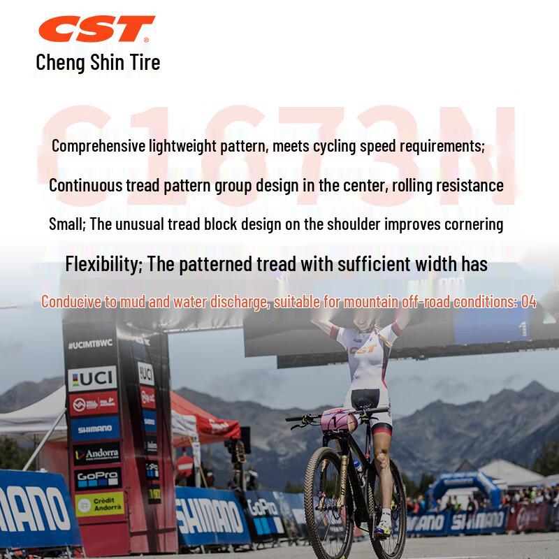 CST Bicycle Tires and Inner Tubes