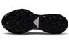 Nike Pegasus Trail 2 Black Platinum (Women's)