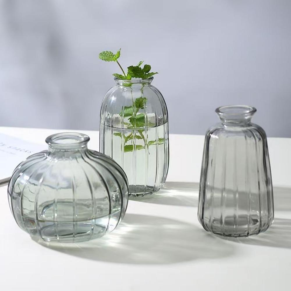 Decorative Flower Bottle Nordic Glass Vase Transparent Bud Vase Designed Hydroponic Plant Pot Living Room Decor Table Ornaments