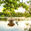 Bird Feeder Feeding Tool Compact with Hook Versatile Iron Lightweight Feed Container Decoration for