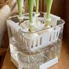 Forgrønning og landskapsdesign – Støtte for planter