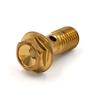 Winova M10XP1.25 Banjo Bolts, 2 Pieces, Resistant Plated Alloy, 4 Washers Included (Gold Plated)
