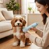 Portable Dog Electric Hair Brush Adjustable Speed Pet Grooming Comb Pet Hair Dryer  Pet Care