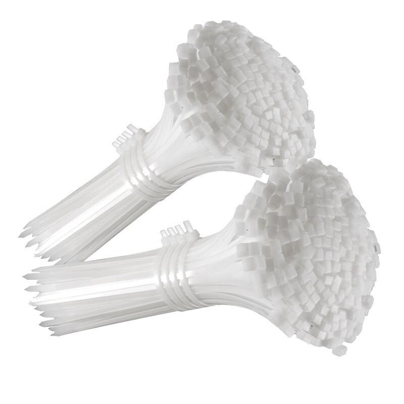 Self-Locking Nylon Cable Ties