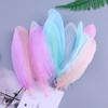 50Pcs Shellfish Feather Goose Feather Diy Handmade Jewelry Accessories Handicrafts Cat Toys Decorative Feathers