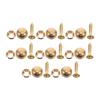 16Pcs Decorative Copper Screw Caps Self Tapping Screws for Wall Mirror Furniture Fixing Hardware Self-Tapping Screw with Cover