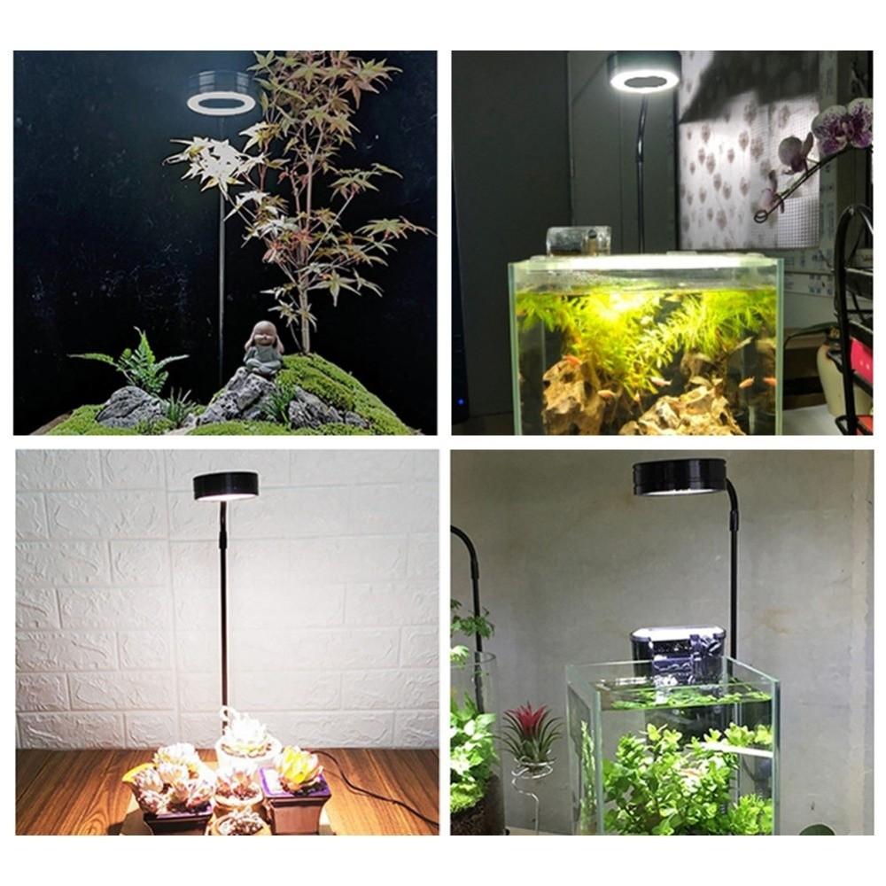 Retractable Height Aquarium Landscape Lights with Wood Board Plant Growth Light  Aquarium Lighting