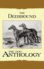 Bok The Deerhound - A Dog Anthology (A Vintage Dog Books Breed Classic)