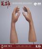 Toy Hobby [TOYBARJAPAN] 1/6 Scale Figure Accessories / MAHA Studio MH2202A Asian Yellow Skin Male Body Arms