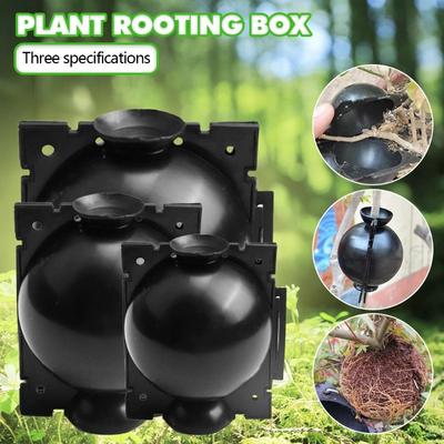 5 Stück Pflanzenbewurzelungsausrüstung Abmoosen Hochdruck-Vermehrungskugel Veredelungsbox Zuchtkasten für Garten Veredelungsbox Setzling