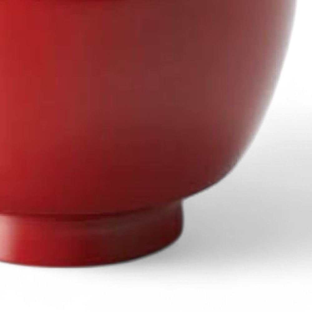 Lacquerware Dishwasher Made in Japan J-kitchens Bowl, Hand-Painted, Safe, PID-528152,