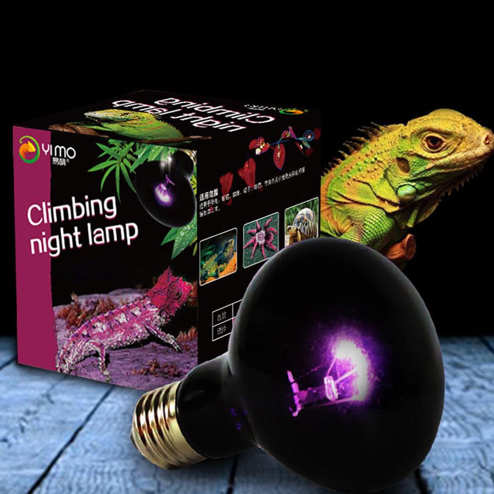 

UVA Reptile Night Heating Lamp Bulb Imitation Night Sleep Lighting Lamp for Lizard Snake Reptile Pets 220V E27 60W#0