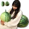 8/25/35cm Simulation Wassermelone Plüschpuppe Kissen Rund Oval Lebensecht Frucht Plüschtier Heimdekoration Lustiges Umarmungsgeschenk Für Jungen Mädchen