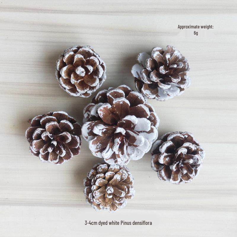 2023 Pine Cone & Dried Flowers for Christmas DIY: Ponderosa, Loblolly, Spruce