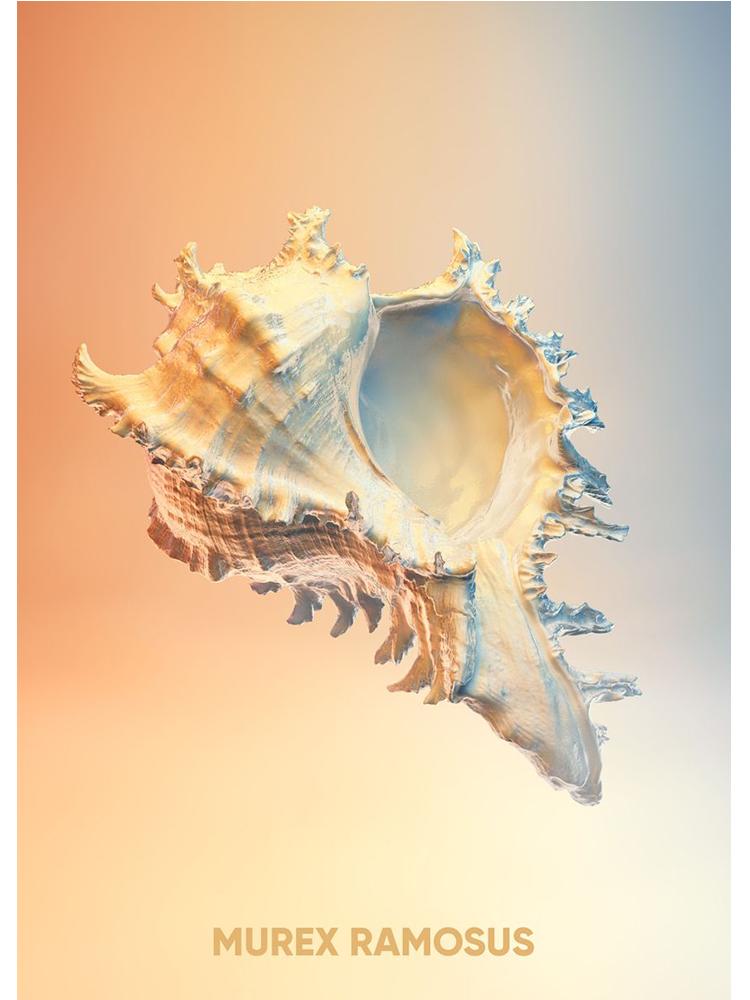 Vintage Crab Ocean Animals Posters Print Canvas Painting Scallop Sea Star Nordic Wall Art For Living Room Home Decoration Mural