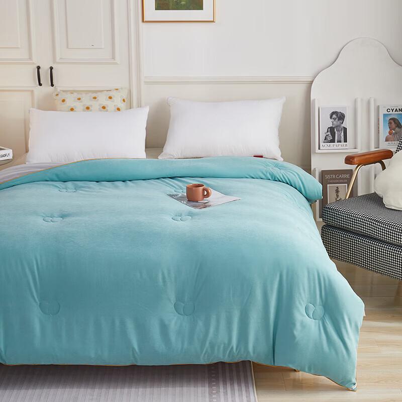 BGM Technology Fabric All-Season Warm Quilt