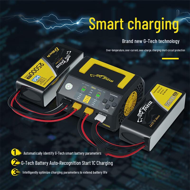 TATTU TA1000 Dual-Channel Smart Battery Charger