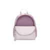 Nike Brasilia JDI Zipper Closure Fabric Backpack Regular Women Backpack Gray Purple Red DR6091019