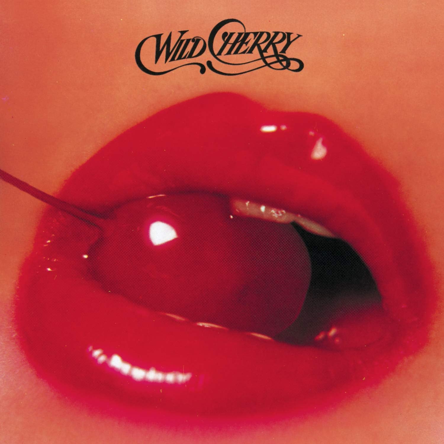 

CD WILD CHERRY - Wild Cherry EK34195PROMO Epic, Sweet Cit 1990 US Soul/Funk Used