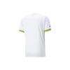 Puma Ghana Home 22/23 Replica Jersey Qatar World Cup Logo Print V-Neck Short Sleeve Football Shirt Men jersey White 765780-01