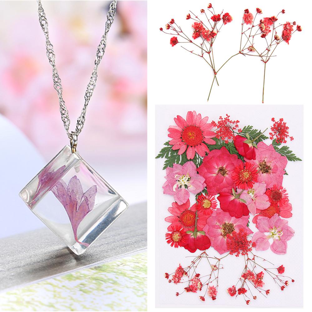 Dried Flowers UV Resin Decorative Natural Flower Stickers 3D Pressed Dried Flowers Beauty Decal Nail Art Epoxy Mold Filling