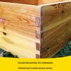 Beehive Kit: Complete Beekeeping Tools & Fir Wood Ten-Frame Hive Box