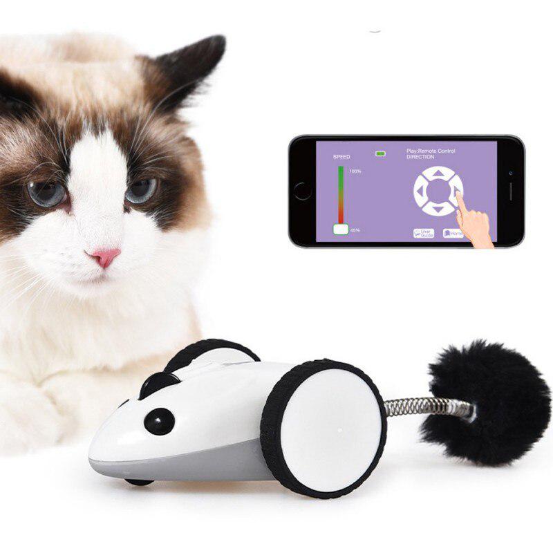 app controlled cat toy