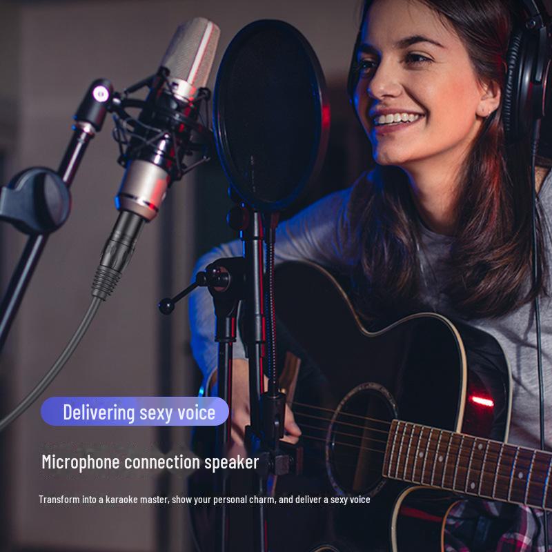 Biaz 1.5m Microphone Audio Cable: 6.5mm to Canon Male, Canon Male to Female, 6.35mm Port