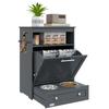Pet Feeder Station, Dog, Cat Storage Container, with Raised Bowls, Hanger, Cabinet - Grey